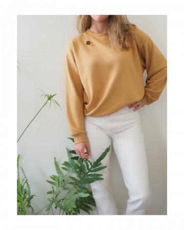 Combiglasscacoamini ginger