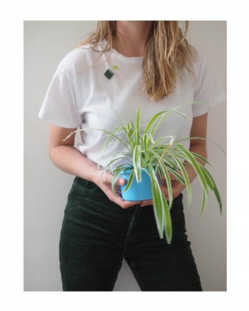 Combiglassforest greenminilime 0