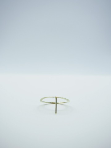 Middenrondopenachter2